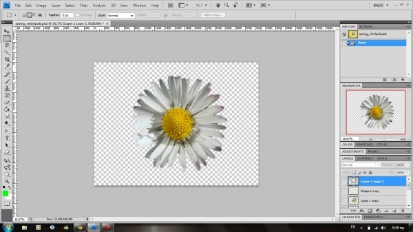 Creation of fractal daisy: Step 1